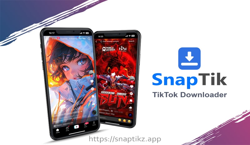 TikTok Downloader